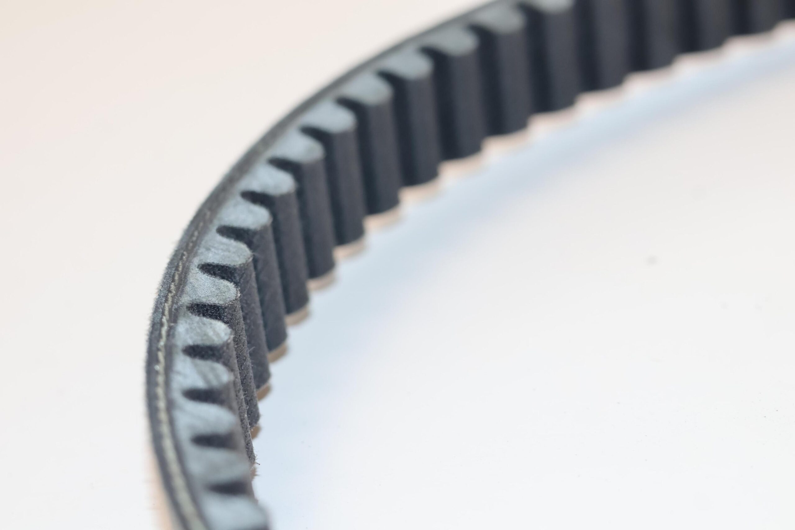 Single-sided toothed motorcycle belt